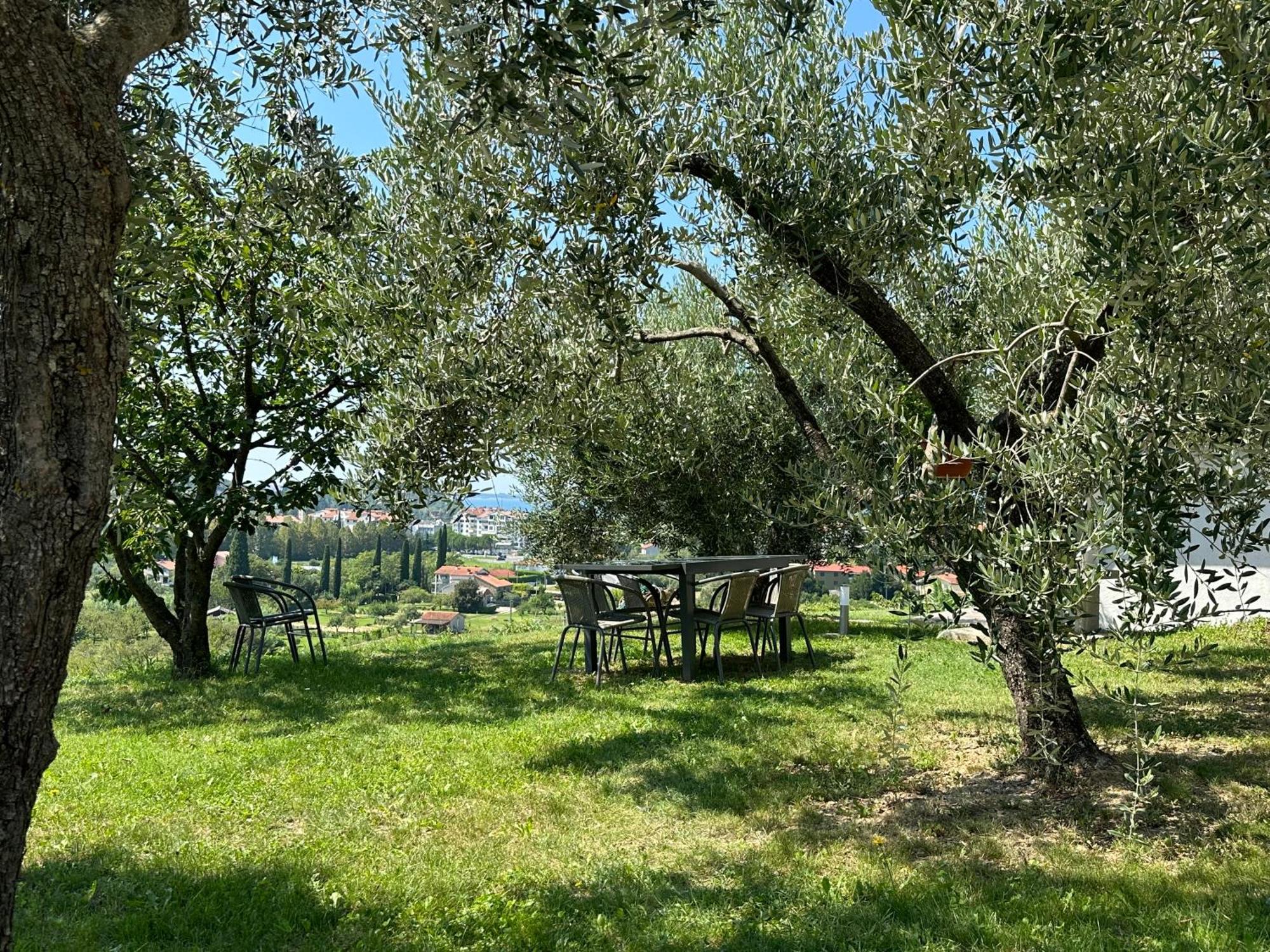 Residence Villa Fiore Portorož Zewnętrze zdjęcie